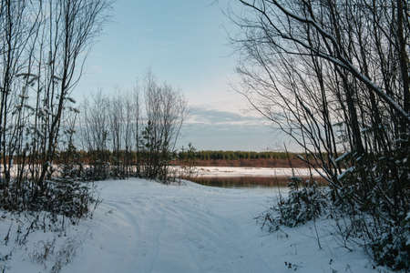 View of the Vychegda river in late autumn before the ice break.の写真素材