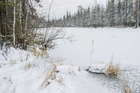 Landscape. Frozen forest lake in late autumn after the first snow.の写真素材