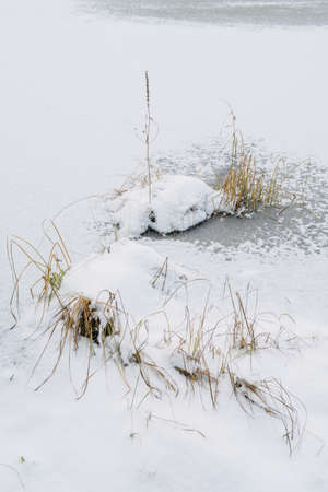 Landscape. Frozen forest lake in late autumn after the first snow.の写真素材