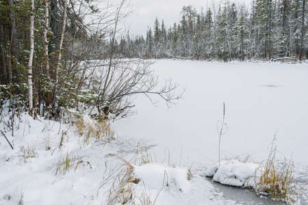 Landscape. Frozen forest lake in late autumn after the first snow.の写真素材
