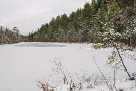 Landscape. Frozen forest lake in late autumn after the first snow.の写真素材