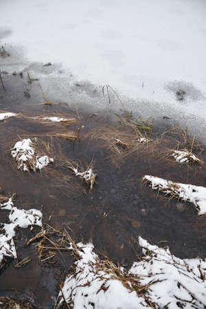 Late autumn. The first ice on the forest lake. The hummocks are covered with a thin layer of snow, the ice is very thin.の写真素材