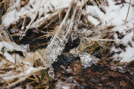 Stream in a forest ravine in late autumn after the first snow