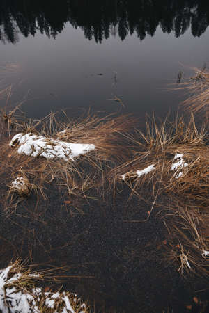 Late autumn. The first ice on the forest lake. The hummocks are covered with a thin layer of snow, the ice is very thin.の写真素材