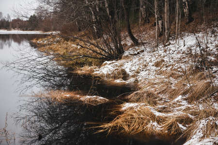 Late autumn. The first ice on the forest lake. The hummocks are covered with a thin layer of snow, the ice is very thin.の写真素材