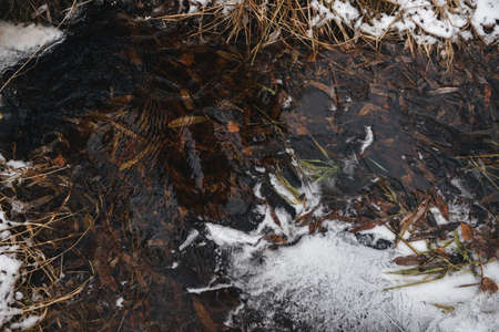Stream in a forest ravine in late autumn after the first snow