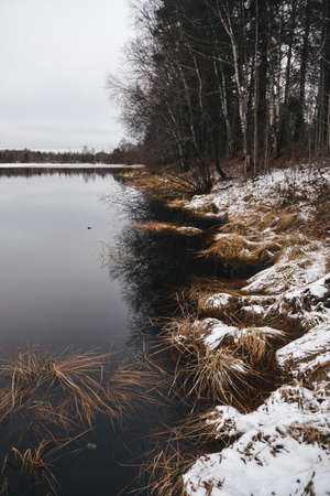Late autumn. The first ice on the forest lake. The hummocks are covered with a thin layer of snow, the ice is very thin.の写真素材