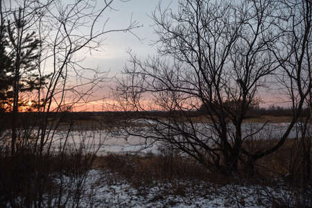 View of the lake in late autumn at sunset with dry tall grass frozen in ice