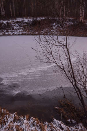 The surface of the lake after sunset on a frosty autumn evening. Animal tracks on thin ice.の写真素材