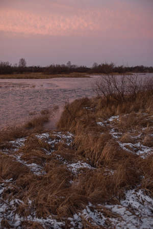 Dried autumn grass among overgrown shore near by the lakeの写真素材