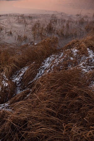 Dried autumn grass among overgrown shore near by the lakeの写真素材