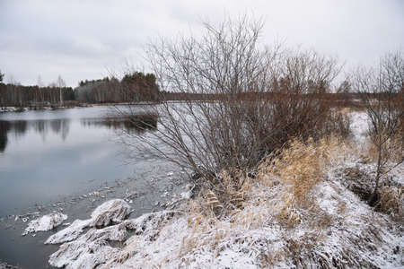 Trees near the river in late autumn with dry grass and the first snow. Scenic view.の写真素材