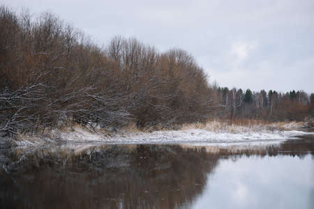 Trees near the river in late autumn with dry grass and the first snow. Scenic view.の写真素材
