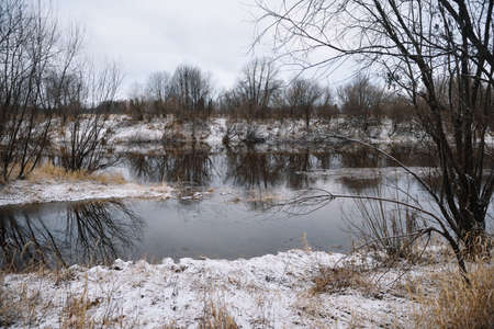 Trees near the river in late autumn with dry grass and the first snow. Scenic view.の写真素材