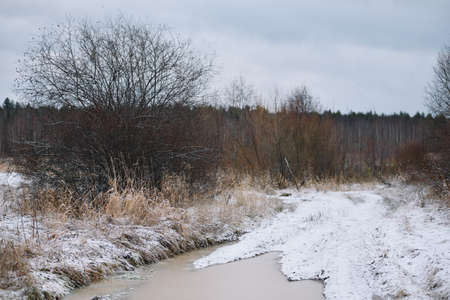 Field by the river in late autumn with dry grass and the first snow. Scenic view.の写真素材