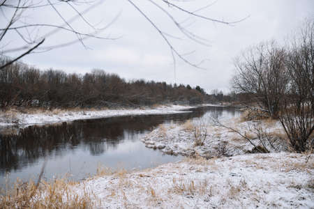 Trees near the river in late autumn with dry grass and the first snow. Scenic view.の写真素材