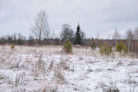 Field by the river in late autumn with dry grass and the first snow. Scenic view.の写真素材