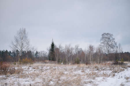 Field by the river in late autumn with dry grass and the first snow. Scenic view.の写真素材