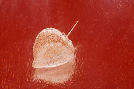 Three boxes from the fruit of physalis in the shape of a heart on an orange background close-up.の写真素材
