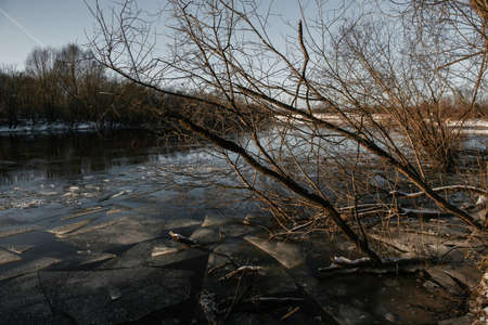 View of the river in late autumn before the ice break.の写真素材