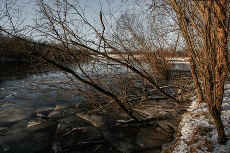 View of the river in late autumn before the ice break.の写真素材