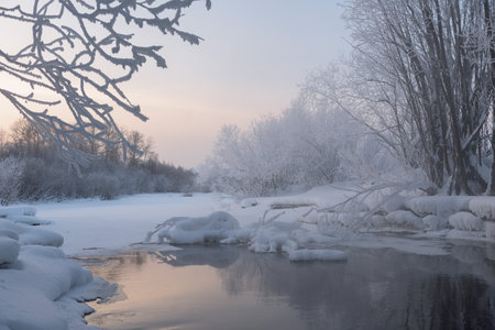 Frosty morning on the river bank. The air temperature is minus 36 degrees Celsius. The trees are covered with a layer of frost from humidityの写真素材