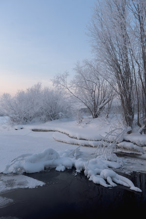 Frosty morning on the river bank. The air temperature is minus 36 degrees Celsius. The trees are covered with a layer of frost from humidityの写真素材