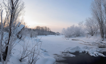 Frosty morning on the river bank. The air temperature is minus 36 degrees Celsius. The trees are covered with a layer of frost from humidityの写真素材