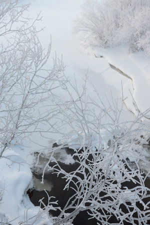 Frosty morning on the river bank. The air temperature is minus 36 degrees Celsius. The trees are covered with a layer of frost from humidityの写真素材