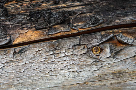 A fragment of old wood with a tarnished texture that has lost its color and the bark cracked from time close-up.の写真素材