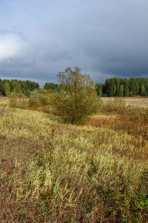 A picturesque landscape. A field in late autumn with areas of mown grass that has risen again and turned yellow from the cold fall.の写真素材