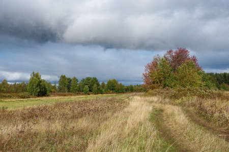 A picturesque landscape. A country road running through fields with grasses yellowed from the autumn cold.の写真素材