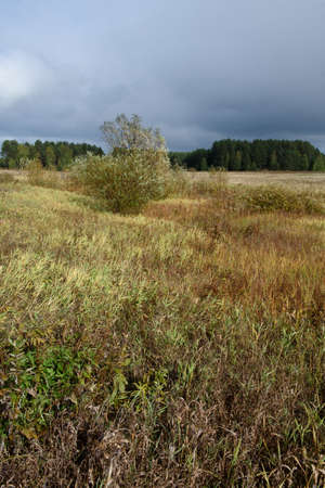 A picturesque landscape. A field in late autumn with areas of mown grass that has risen again and turned yellow from the cold fall.の写真素材