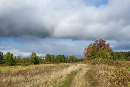 A picturesque landscape. A country road running through fields with grasses yellowed from the autumn cold.の写真素材