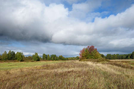 A picturesque landscape. A field in late autumn with areas of mown grass that has risen again and turned yellow from the cold fall.の写真素材