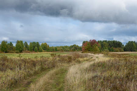 A picturesque landscape. A country road running through fields with grasses yellowed from the autumn cold.の写真素材