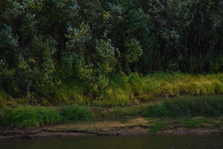 A picturesque river bank in early autumn with grass on the bank changing its color from green to yellow.の写真素材