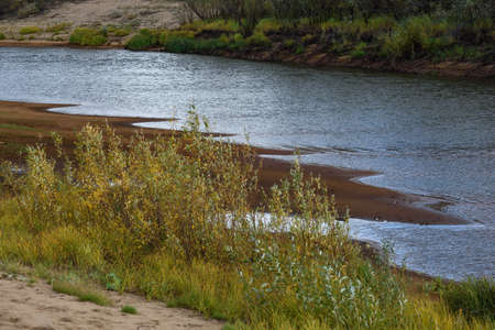 A picturesque river bank in early autumn with grass on the bank changing its color from green to yellow.の写真素材