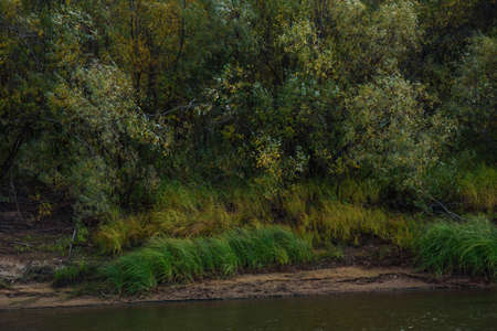 A picturesque river bank in early autumn with grass on the bank changing its color from green to yellow.の写真素材