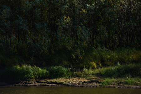 A picturesque river bank in early autumn with grass on the bank changing its color from green to yellow.の写真素材