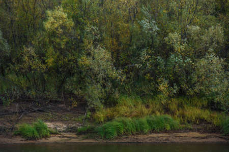 A picturesque river bank in early autumn with grass on the bank changing its color from green to yellow.の写真素材