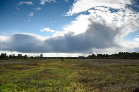 Grass on the field in the bright light of the autumn sunの写真素材