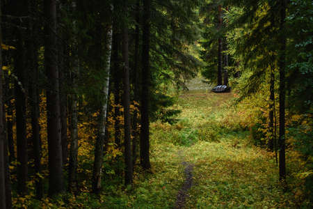 An old metal boat is made with your own hands on the shore of the lake in the autumn season.の写真素材