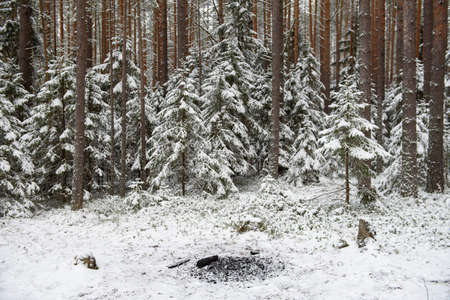 Landscape. Bonfire and traces of human presence in the snow-covered forest.の写真素材