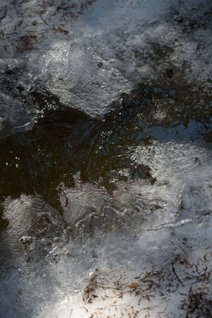 A forest stream surfaced and surrounded by a crust of ice in the forest.の写真素材