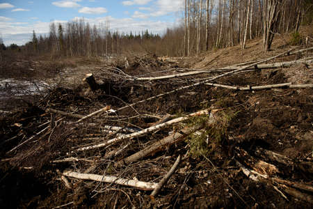 The site of deforestation for the gas pipeline in the middle of springの写真素材