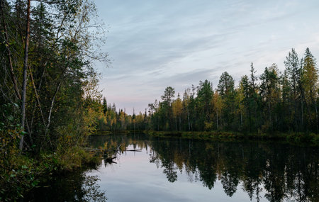 Forest lake in autumn after sunset with water lilies and cold water.の写真素材
