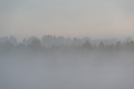 Morning fog in the river valley.の写真素材