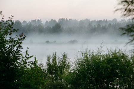 Morning fog in the river valley.の写真素材