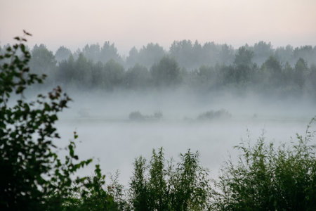 Morning fog in the river valley.の写真素材
